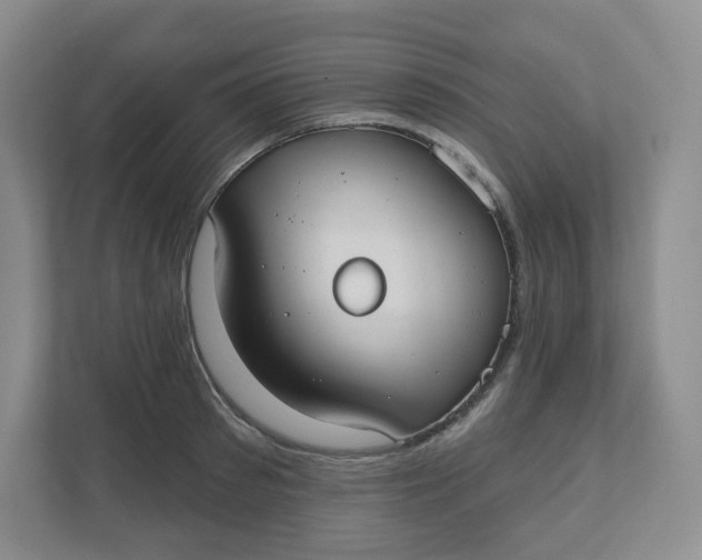 X0000110760897200906291026
