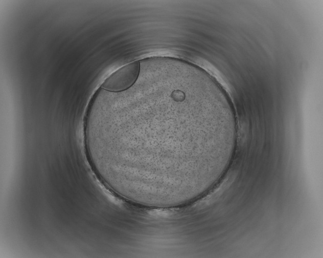 X0000110760898200906291026