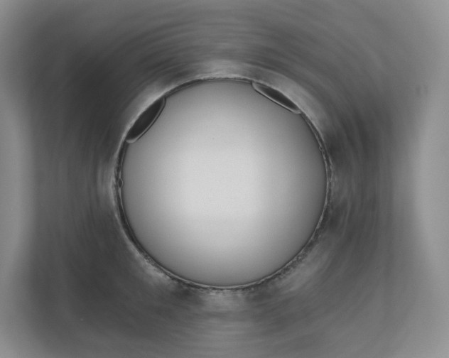 X0000110760901200906291026