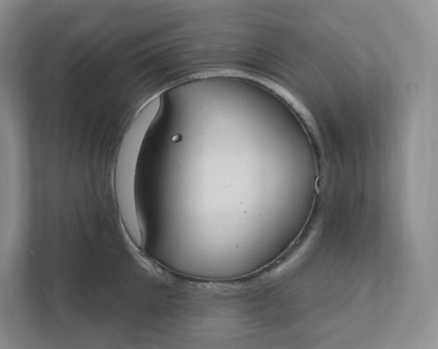 X0000110760905200906291025