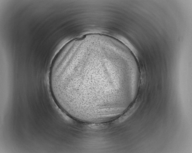 X0000110760906200906291025
