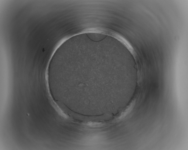 X0000110760907200906291025