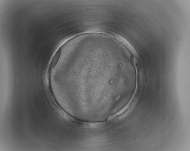 X0000110760908200906291025