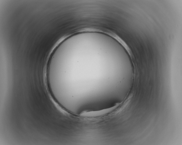 X0000110760909200906291025