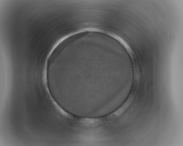 X0000110760910200906291025