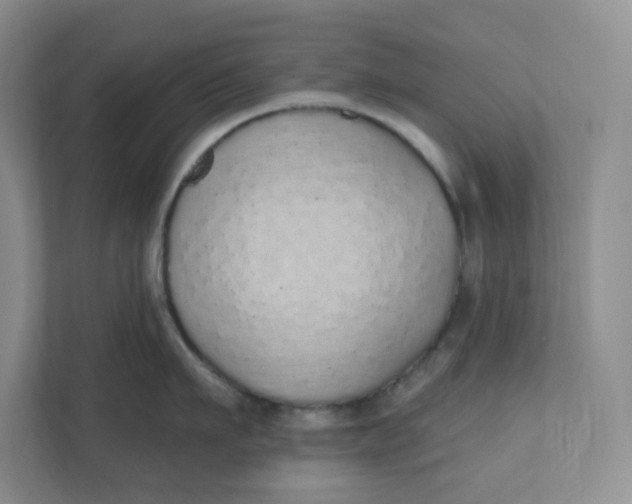 X0000110760911200906291025
