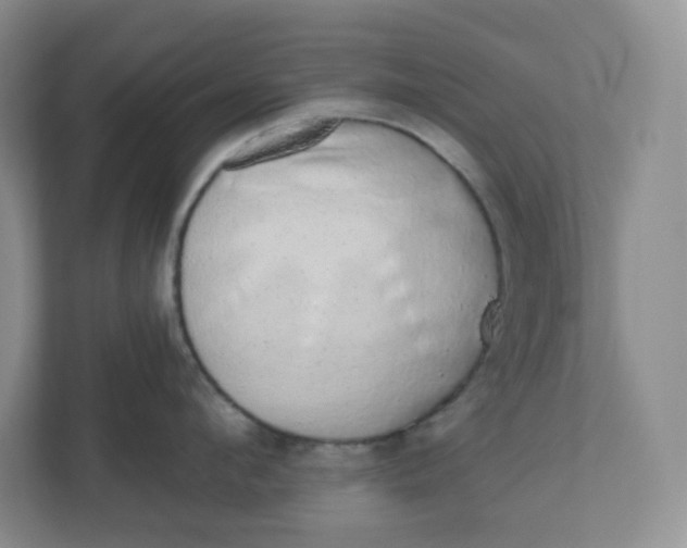 X0000110760912200906291025