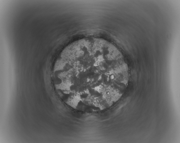 X0000110760913200906291025