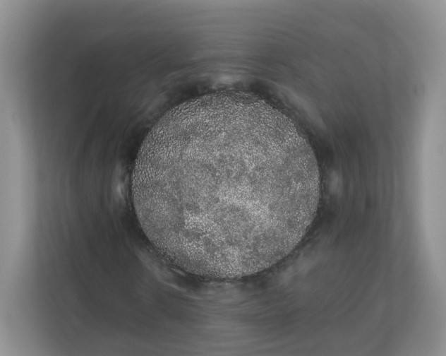 X0000110760914200906291025