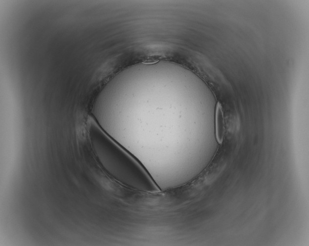 X0000110760916200906291025