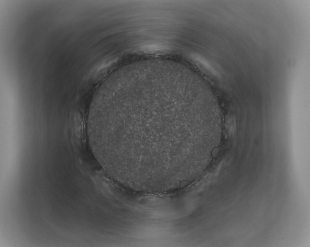 X0000110760917200906291025