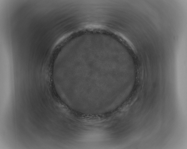 X0000110760919200906291025