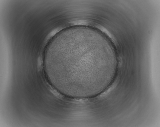 X0000110760922200906291025