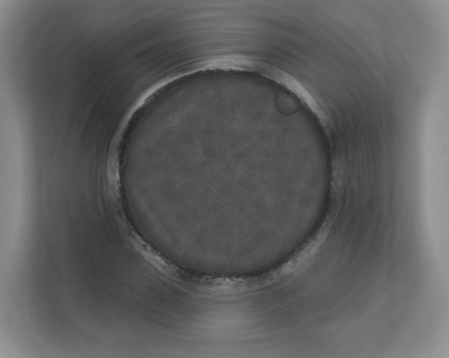 X0000110760923200906291025