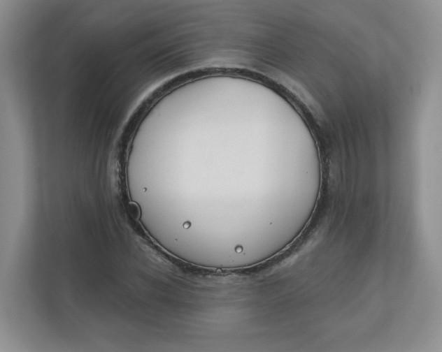X0000110760926200906291025
