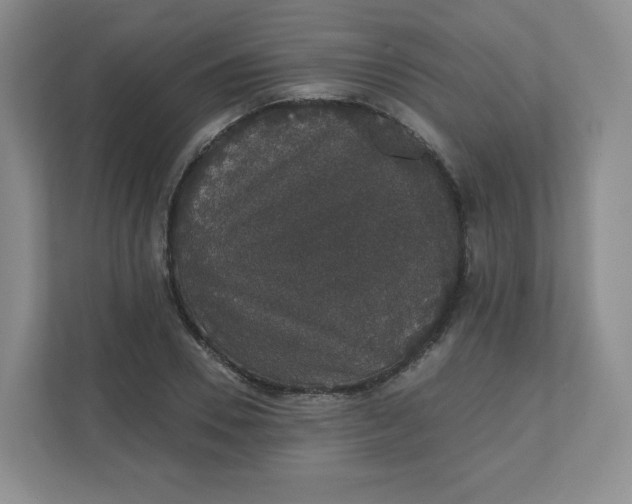 X0000110760930200906291025