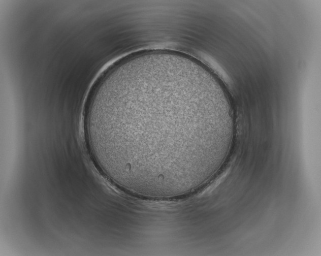 X0000110760932200906291025