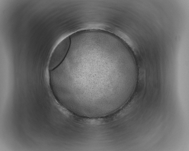X0000110760936200906291025