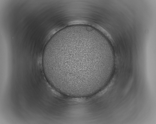 X0000110760937200906291025