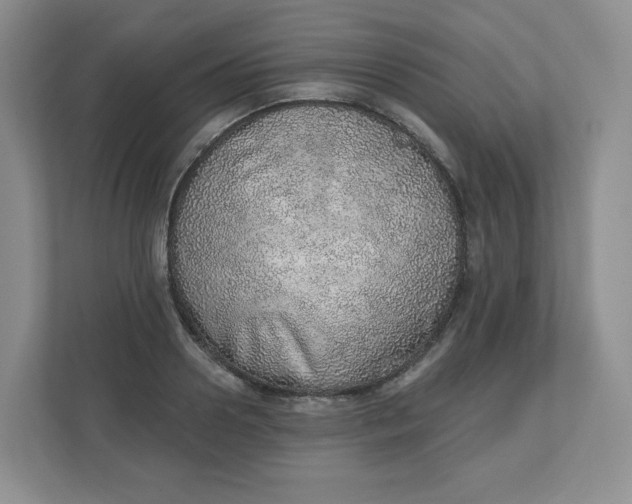 X0000110760938200906291025