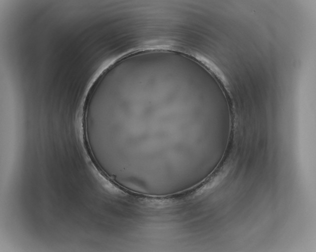 X0000110760941200906291025