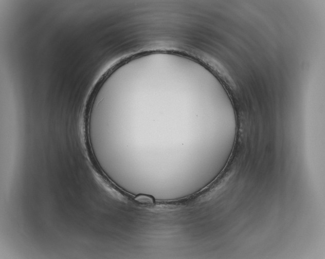 X0000110760942200906291025