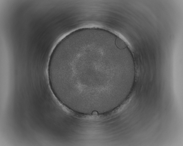 X0000110760943200906291025