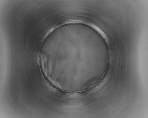X0000110760945200906291025