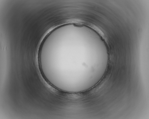 X0000110760947200906291025