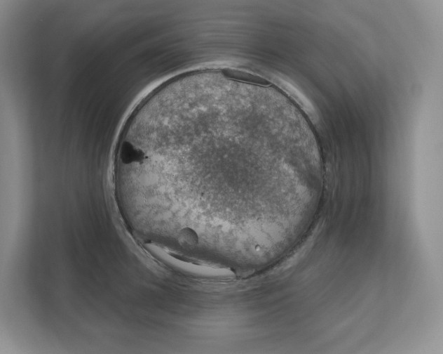 X0000110760948200906291025