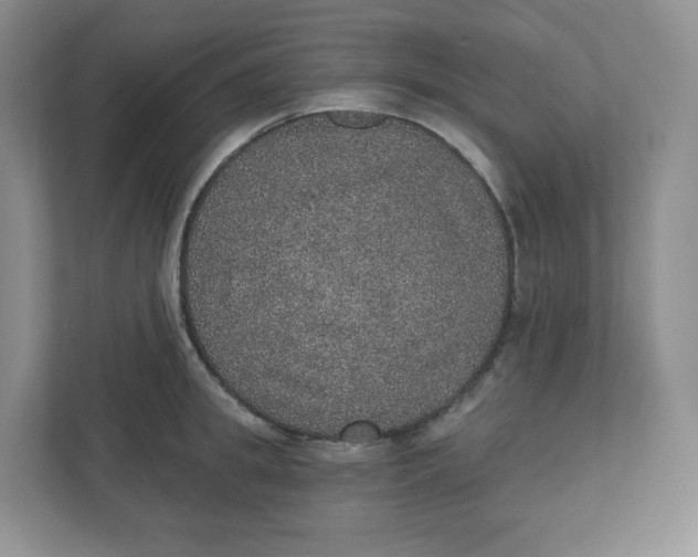X0000110760949200906291025