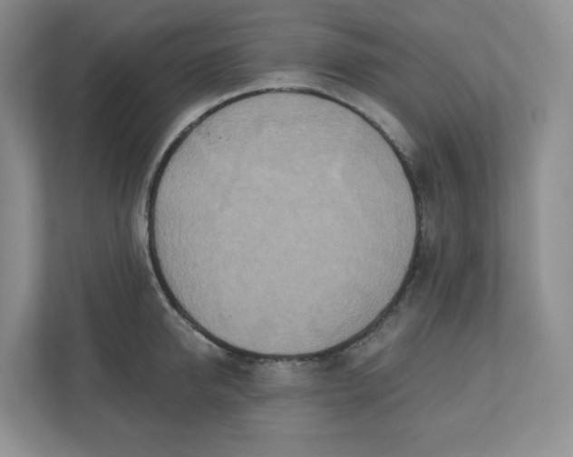X0000110760950200906291025