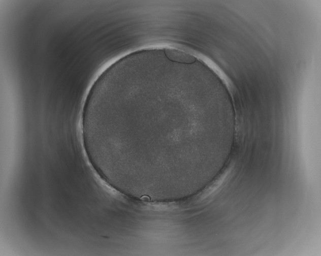 X0000110760951200906291025