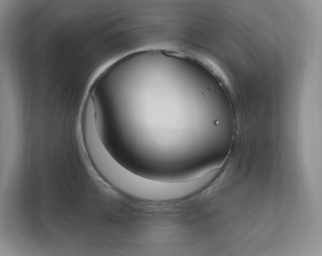 X0000110760952200906291025