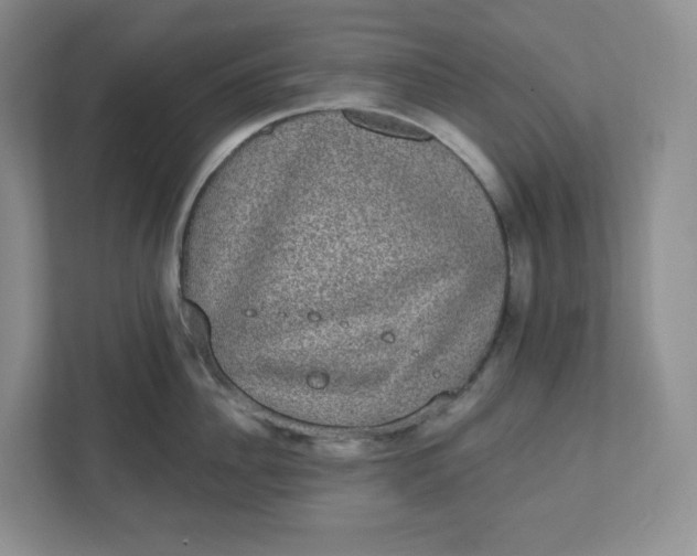 X0000110760956200906291025