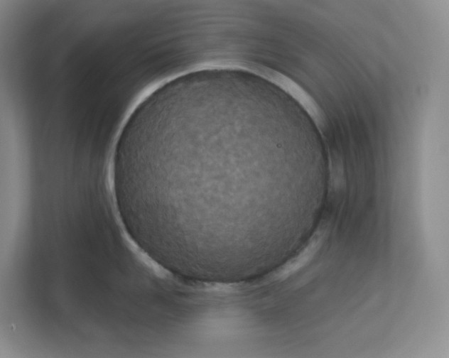 X0000110760958200906291025
