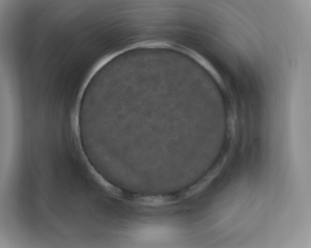 X0000110760959200906291025
