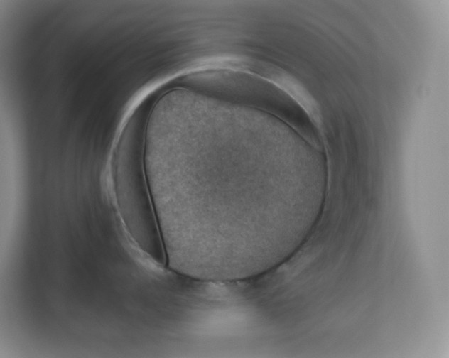 X0000110760960200906291025