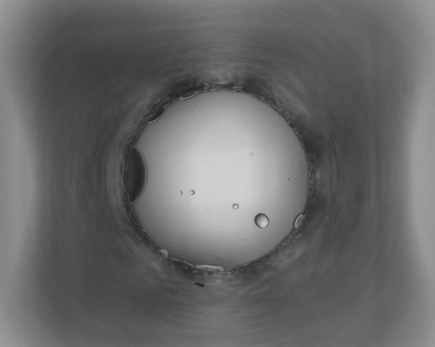 X0000110760961200906291025