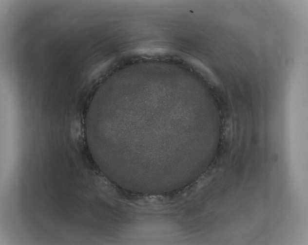 X0000110760966200906291025