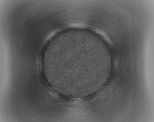 X0000110760968200906291025