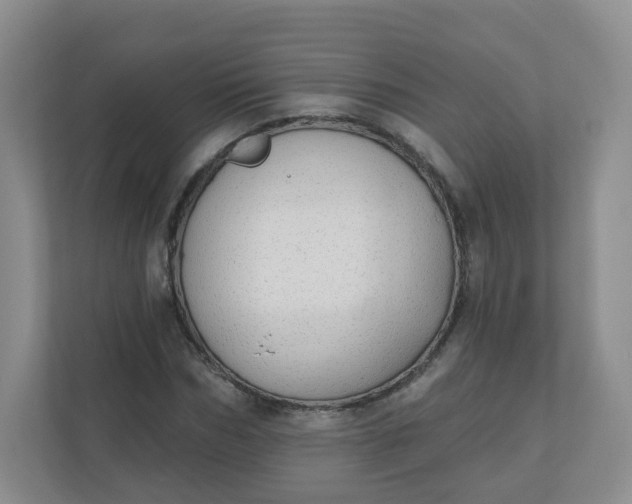 X0000110760970200906291025