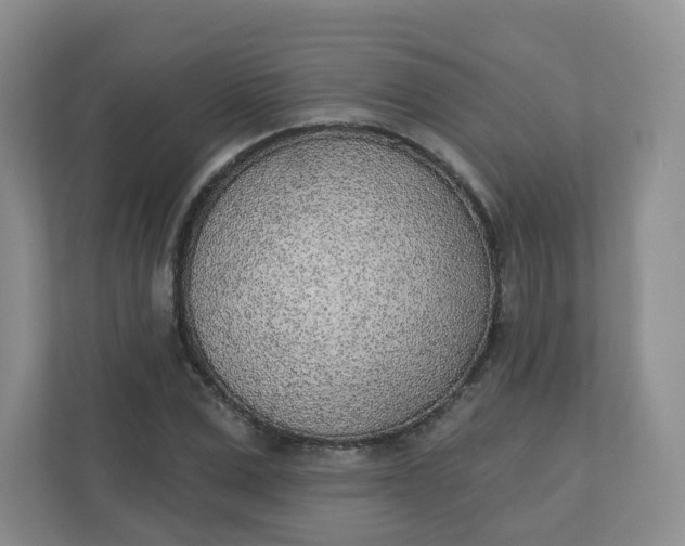 X0000110760975200906291025