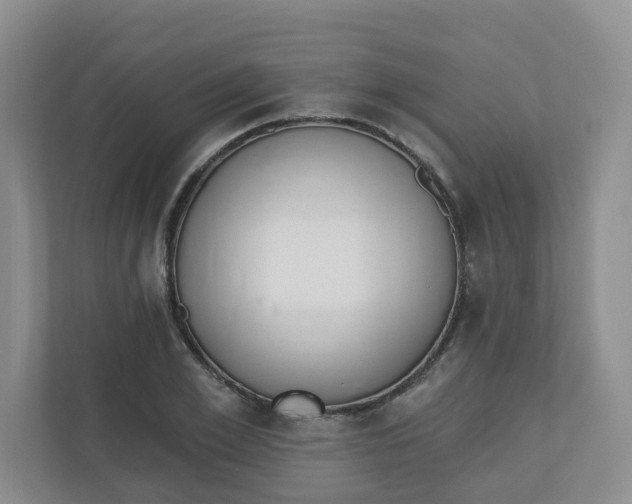 X0000110760981200906291025