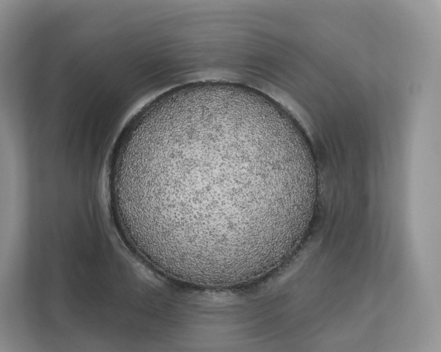 X0000110760983200906291024