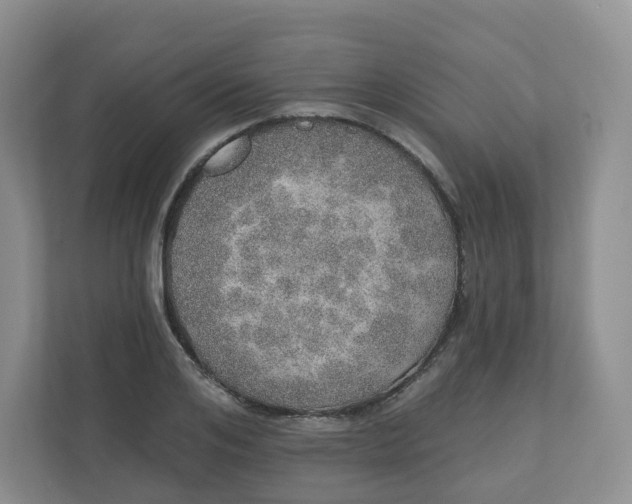 X0000110760984200906291024