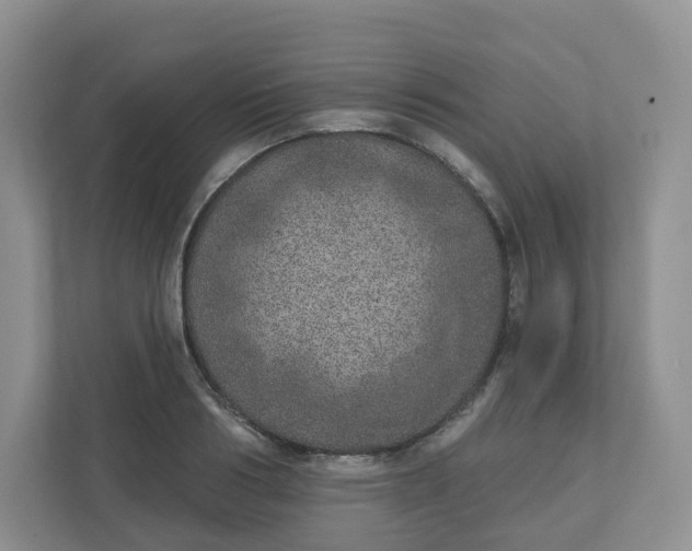 X0000110760986200906291024