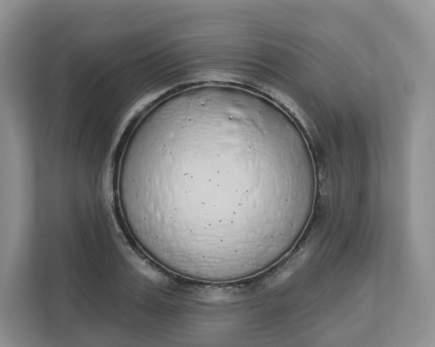 X0000110760987200906291024