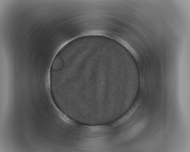 X0000110760988200906291024