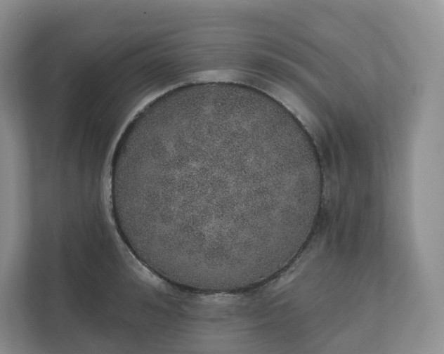 X0000110760992200906291024